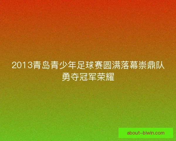 2013青岛青少年足球赛圆满落幕崇鼎队勇夺冠军荣耀