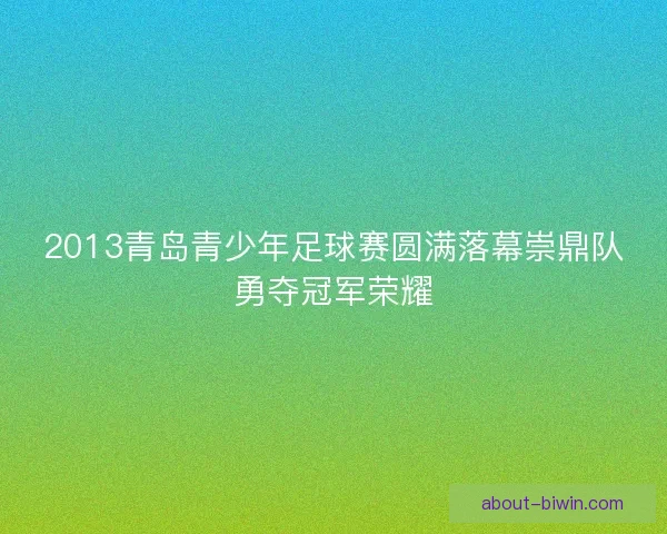 2013青岛青少年足球赛圆满落幕崇鼎队勇夺冠军荣耀